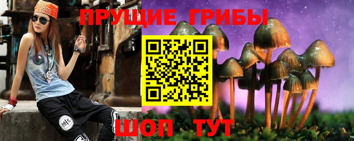 Псилоцибиновые грибы мицелий Баксан